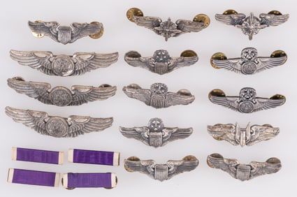 14 AMERICAN PILOT AND AIR CREW WINGS