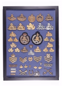 48 BRITISH SOUTH AFRICA POLICE INSIGNIA FRAMED