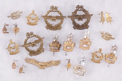 21 RHODESIAN ARMY AND AIR FORCE INSIGNIA BADGES