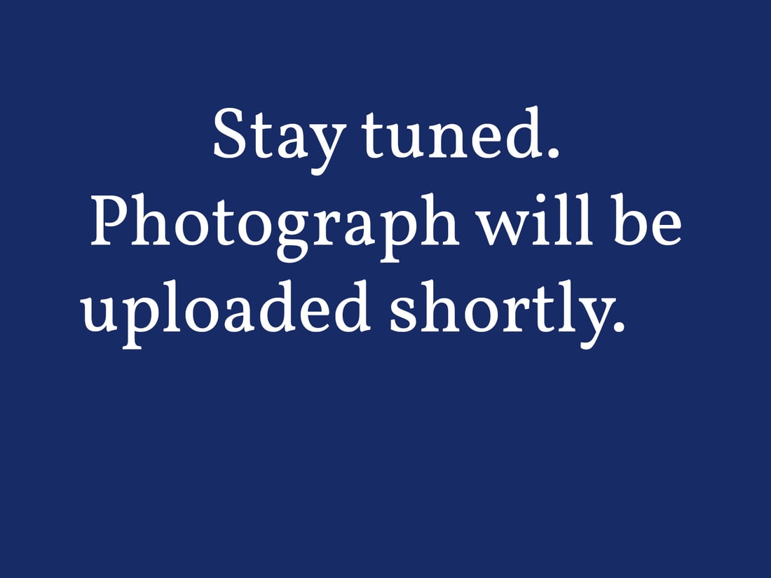 EYVIND EARLE - PURPLE COASTLINE: Eyvind Earle (1916-2000). 'Purple Coastline.' Limited Edition Serigraph on Paper. Signed in print, numbered 24/200. Print is matted and framed; no examination of the print outside of the frame. Can