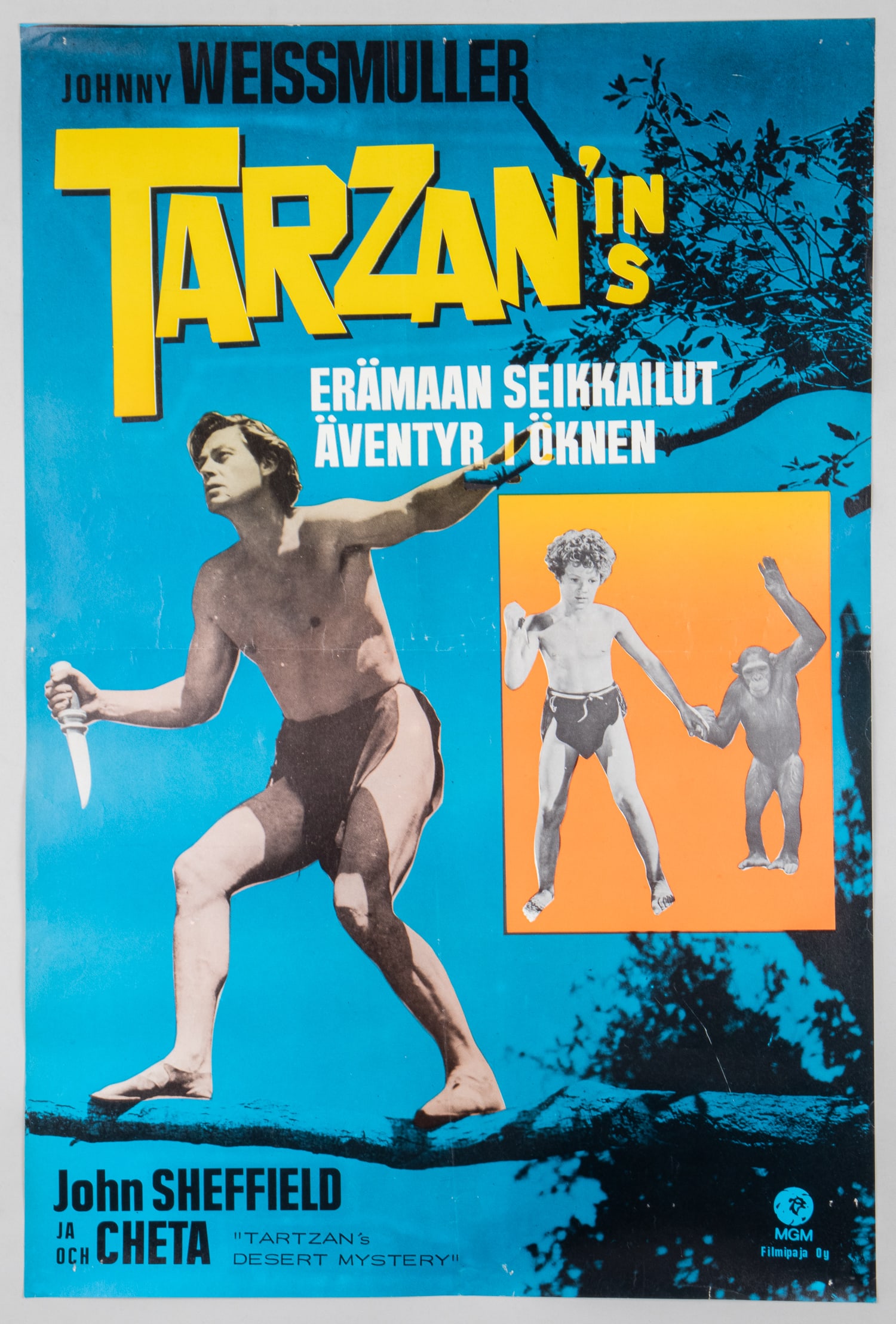 TARZAN'S DESERT MYSTERY FINNISH MOVIE POSTER (1 of 1)