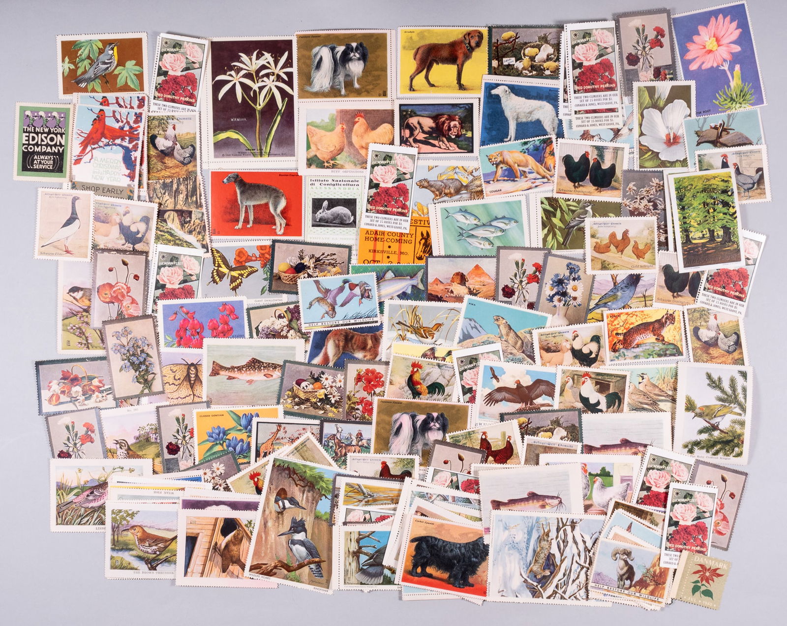 140 WILDLIFE POSTER STAMPS - CINDERELLAS (1 of 1)