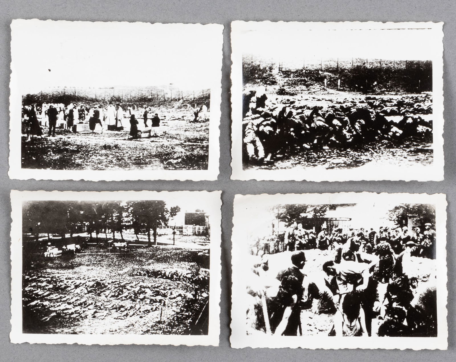 WWII MASS GRAVE HOLOCAUST PHOTOS & STARS AND STRIPES PAPERS: Four b/w photographs of victims of the Holocaust being buried in a mass grave. 2.5 x 3.25 inches. With two WWII Stars and Stripes Holocaust newspapers, including one dated April 20th, 1945, and one da