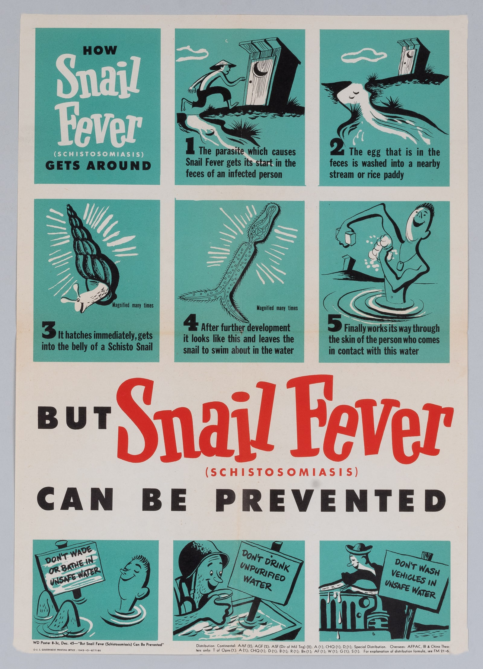 SNAIL FEVER WWII INFECTIOUS DISEASE PREVENTION POSTER: Original WWII American military health educational poster for the tropical disease, 'How Snail Fever Gets Around - But Snail Fever Can Be Prevented.' This infographic was created to protect deployed s
