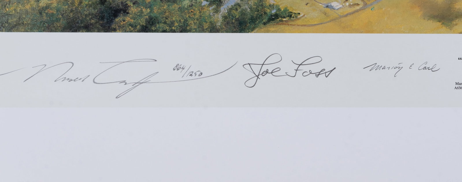 ZERO ENCOUNTER BY ROBERT TAYLOR SIGNED BY AVIATORS - 2