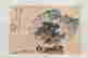 item-91219930=2