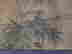 item-93768153=3