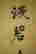 item-102170880=2