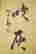 item-102170969=6