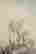 item-104087114=2