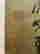 item-113711504=4