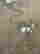 item-113711534=4