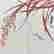 item-115062955=6
