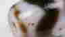 item-129118921=4