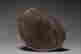 item-131335538=9