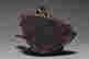item-131335556=9