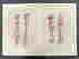 item-131335594=12