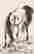item-131336172=4