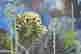 item-133391276=7