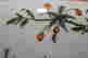 item-133391297=5