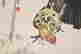 item-133391520=5