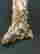 item-98255264=2