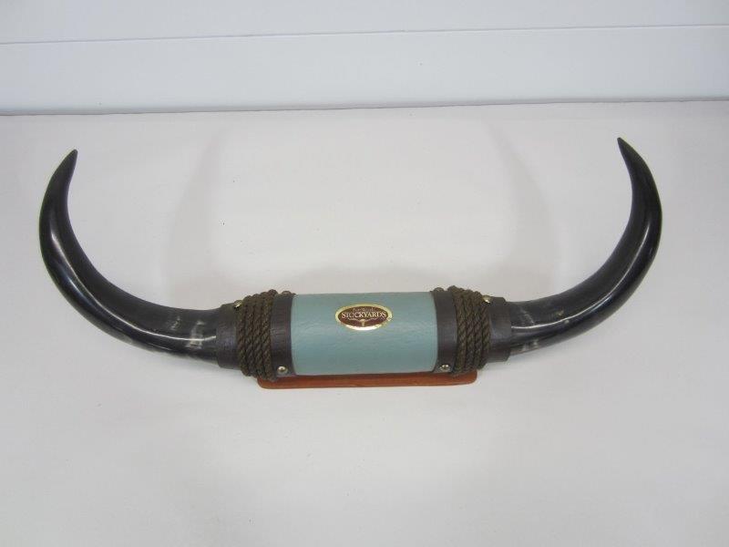 FORT WORTH STOCKYARDS MOUNTED STEER HORNS (1 of 5)
