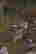 item-111112326=2