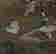 item-111112326=3