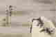 item-128087775=2