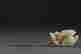 item-128087876=2