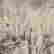 item-130342419=2