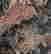 item-130342421=10