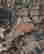 item-130342421=6