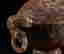 item-130342562=3