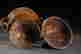 item-130342562=8