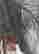 item-130459401=4