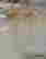 item-130459478=5