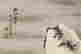 item-132096114=2
