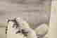 item-132096114=3