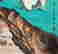 item-132096139=8