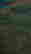 item-136770851=8
