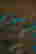 item-136770851=9