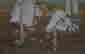 item-136770864=4