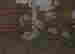 item-136770864=8
