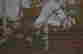 item-136770864=9