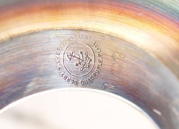 ETCHED GLASS PICKLE CASTER IN SILVER PLATE HOLDER  - 2
