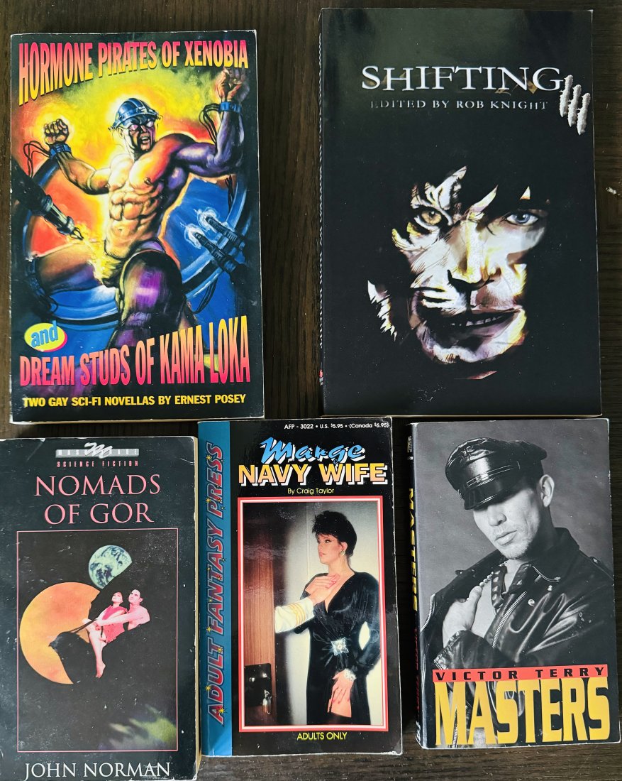 Vintage Adult Gay Book And More: 1993 Navy Wife, Hormone Pirates Of Xenogia And Dream Studs Of Kama Loka Gay Novellas by ernest posey, Nomads as of Gor And More. Total of 5 books
