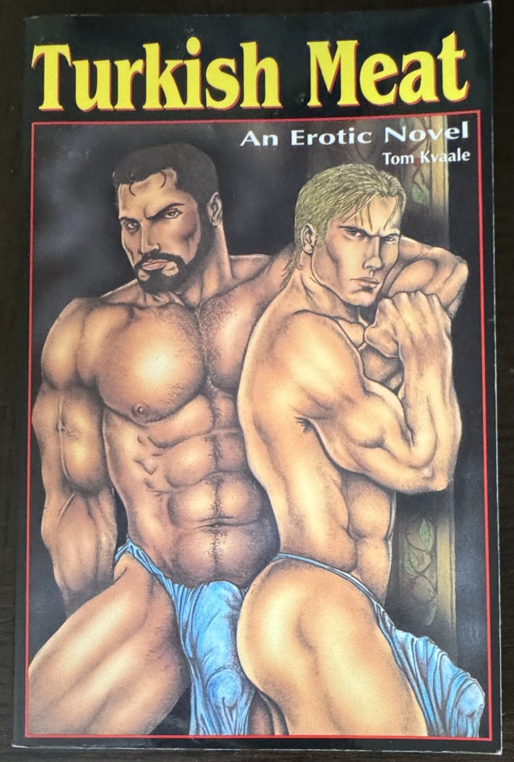 Turkish Meat An Erotic Novel: Turkish Meat An Erotic Novel By Tom Kvaale