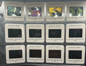 Disney Sleeping Beauty 35MM Slides